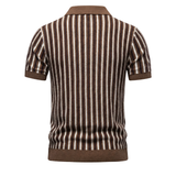 Polo Uomo in Maglia a Righe Verticali