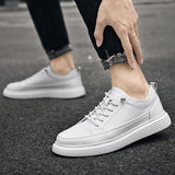 Sneakers Basse Uomo con Lacci